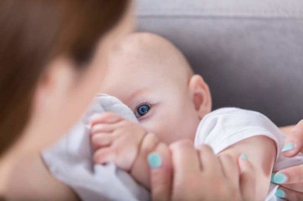 Siameses ya toman leche materna y toleran bien - Digital Misiones