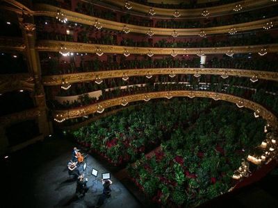 En España realizaron un concierto para 2.292 plantas