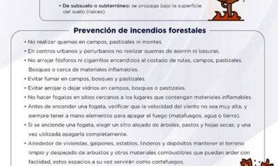 » INFONA lanza recomendaciones para prevenir incendios forestales