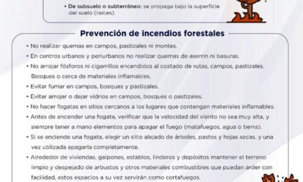 » INFONA lanza recomendaciones para prevenir incendios forestales
