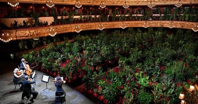 Ópera de Barcelona reabrió con un concierto para 2.292 plantas