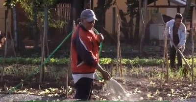 Vecinos producen mediante huerta comunitaria en Franco