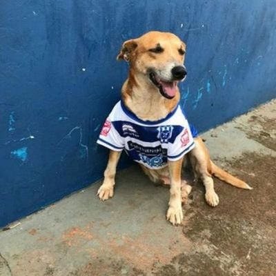 Nos dejó Tesapará