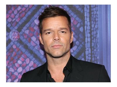 Ricky Martin dijo que le prestaron un vientre