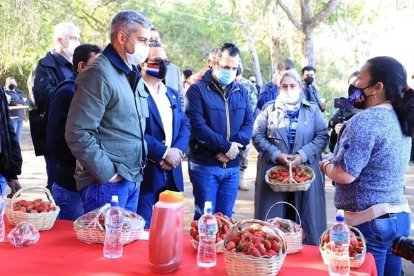 El Ejecutivo podría habilitar la Expo Frutilla • Luque Noticias