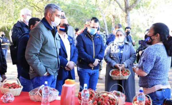 HOY / Expo frutilla en Areguá se haría si se cumplen los protocolos sanitarios