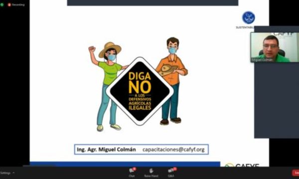 » CAFYF y FECOPROD orientan sobre trabajos de campo tiempos de Covid