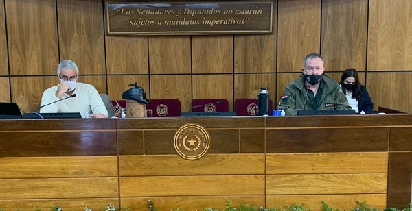 Analizaron situación del sector cárnico en audiencia pública.