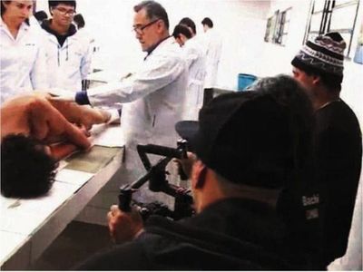 Distribuidores de EEUU se enamoraron de cinta  Morgue