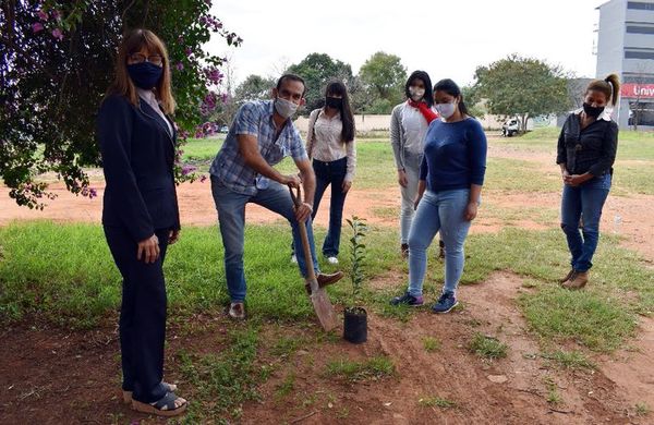 Primera arborización virtual - 292° Aniversario de Itauguá - ABC Color