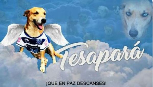 Fallece Tesapará, la mascota del 2 de Mayo