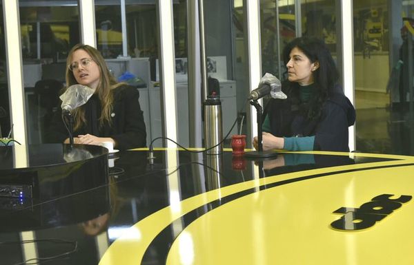 Casos de violencia contra las mujeres no dejan de aumentar en cuarentena - Nacionales - ABC Color
