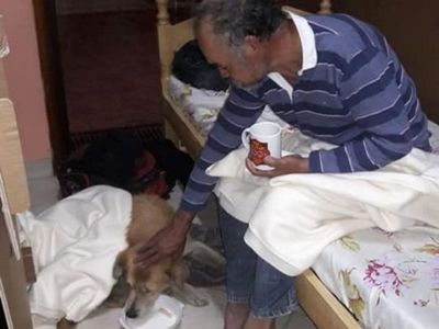 Abuelito aceptó ir a un albergue solo si llevaba a su mejor amigo: un perrito