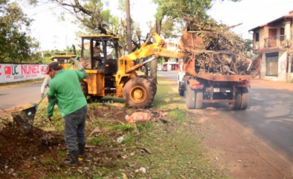 Municipalidad junta 20 camionadas de ramas y rastrojos del Área 3