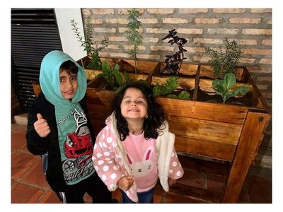 Huerta infantil: técnica para dejar las pantallas