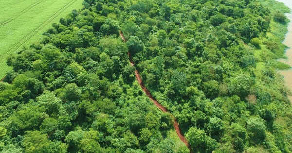 Itaipú aprobó nuevas normativas para defender áreas protegidas y el embalse
