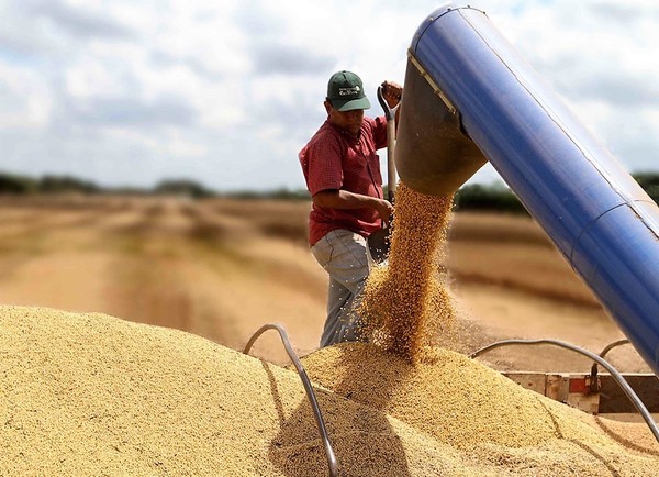 Brasil facilita importaciones de productos AGROPECUARIOS desde el Paraguay