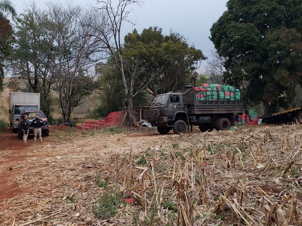 Decomisan 1,5 MILLONES de gruesa de CIGARRILLOS