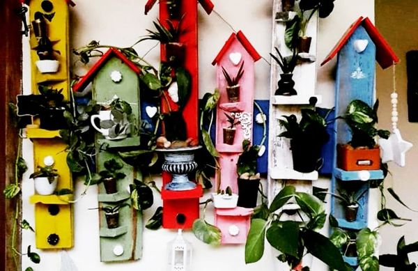 Para decoración en la casa o jardín - Economía - ABC Color