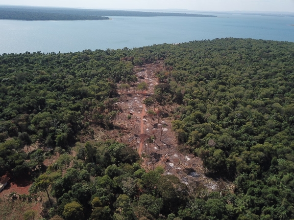 Apoyo interinstitucional para frenar ocupación y deforestación de bosques nativos