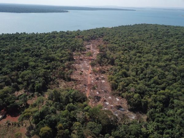 Itaipú constató la tala de bosques nativos en la zona de Puerto Indio » Ñanduti