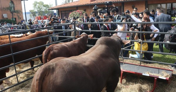 Cierran sucursal del BNF que operaba en la Rural de Roque Alonso