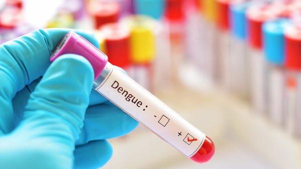 Dengue: OPS señala que casos superan los 1,6 millones en América – Diario TNPRESS