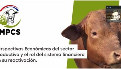 » Rol del sistema financiero en reactivación productiva