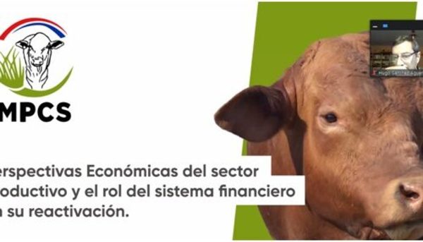 » Rol del sistema financiero en reactivación productiva