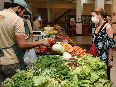 Oferta de frutillas y hortalizas de hoja, mañana en la feria Agroshopping - Nacionales - ABC Color