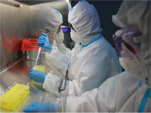 Millones de personas pudieron tener coronavirus sin saberlo