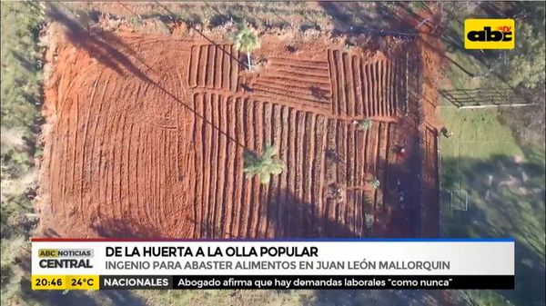 Buscan abastecer ollas populares con huerta comunitaria - ABC Noticias - ABC Color