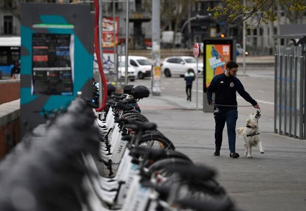 España, entre los países europeos con más abandonos de animales - Mascotas - ABC Color