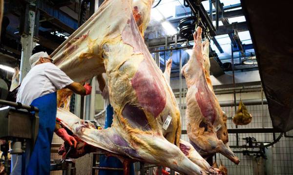 Paraguay es el mayor proveedor de carne bovina de Chile entre enero y mayo