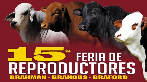 Ferusa vende hoy lunes “genética de calidad” en feria anual de Ganadera Alborada