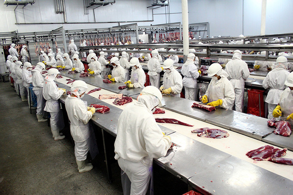 Chile: más movimiento en la demanda, precios “clavados” y competencia de Brasil