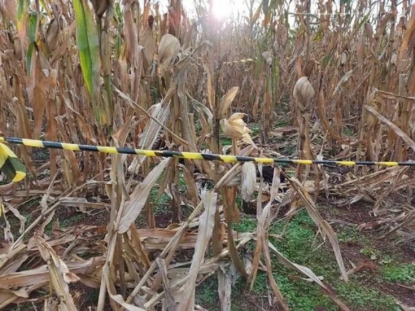 Niña indígena fue abusada y asesinada con mucha violencia