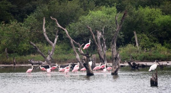 El Chaco Central busca reactivar el turismo del país