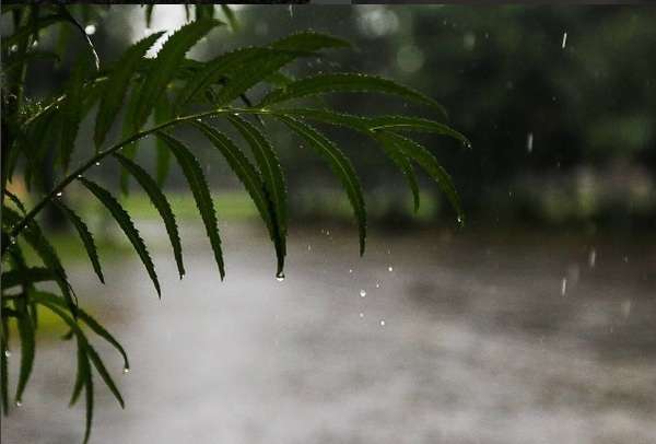 Semana con lluvias: algunas zonas podrán acumular hasta 100 milímetros