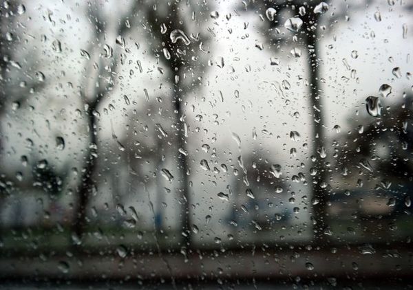 Lluvias en la región oriental permiten “volver a respirar” a muchos productores