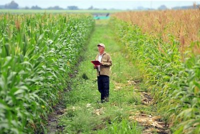 Martes, curso de Educación Financiera en Futuros y Opciones para el agro