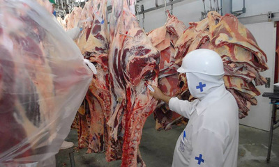 Chile podría recuperar demanda de carne bovina desde mediados de año, según analista