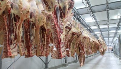Chile importó un 23% más de carne bovina paraguaya entre enero y febrero