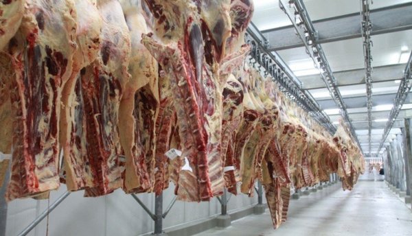 Chile importó un 23% más de carne bovina paraguaya entre enero y febrero