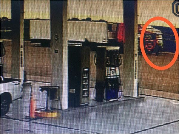 Dos detenidos por transportar carga de cocaína en camión frigorífico