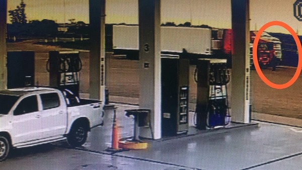 Dos detenidos por intentar transportar cocaína en camión frigorífico hasta Chile