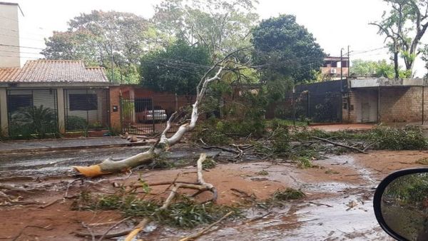 Fuerte temporal causa destrozos en Central y varios puntos del interior