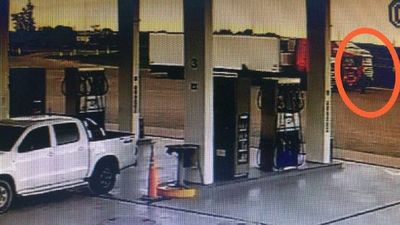 Dos detenidos por transportar carga de cocaína en camión frigoríficopor transportar carga de cocaína en camión frigorífico – Prensa 5
