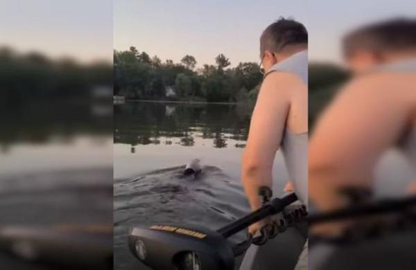 Familia salva a oso que tenía la cabeza atrapada en un bidón de plástico - SNT