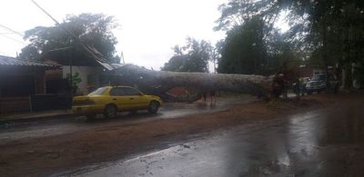 Temporal causó destrozos y dejó niño lesionado en San Lorenzo - Nacionales - ABC Color
